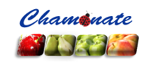 Logo Cliente 2